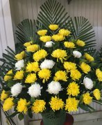 鲜花