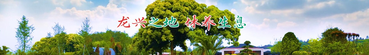 南昌买墓地